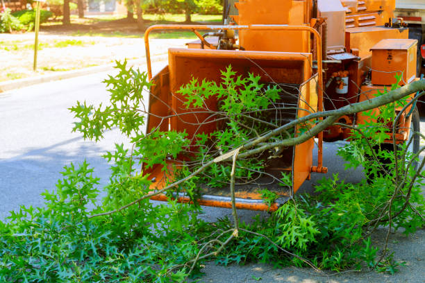 Soil Testing and Treatment in Morton, IL
